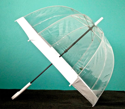 Clear Birdcage Umbrella for Newcastle Weddings
