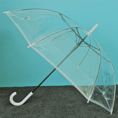 Clear Birdcage Umbrella for Newcastle Weddings